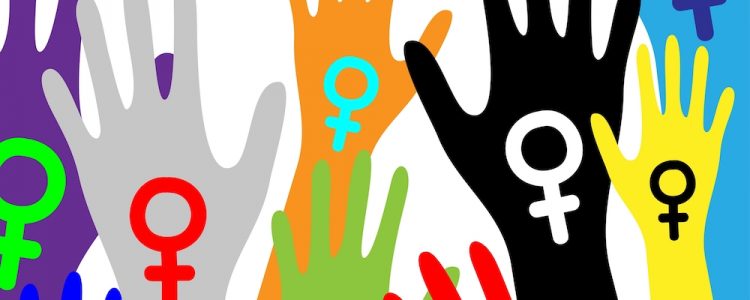 Participação política das mulheres e construção do movimento